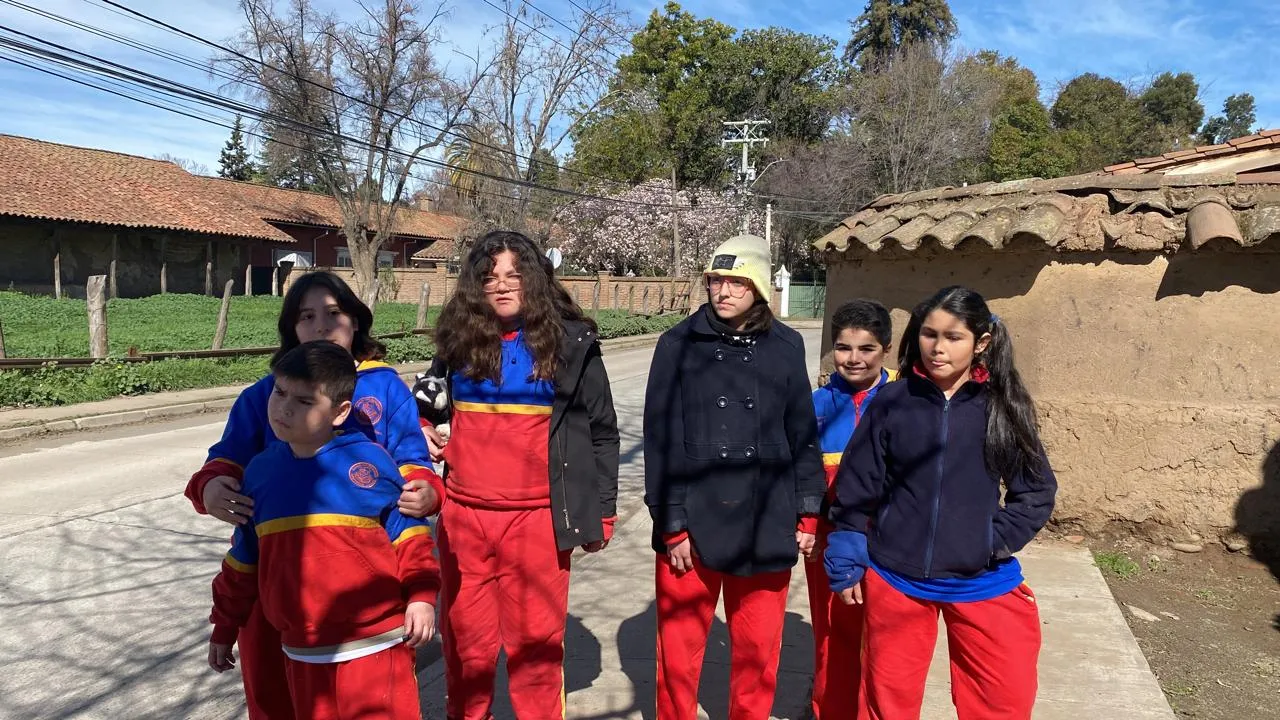 colegio metodología waldorf rancagua machalí